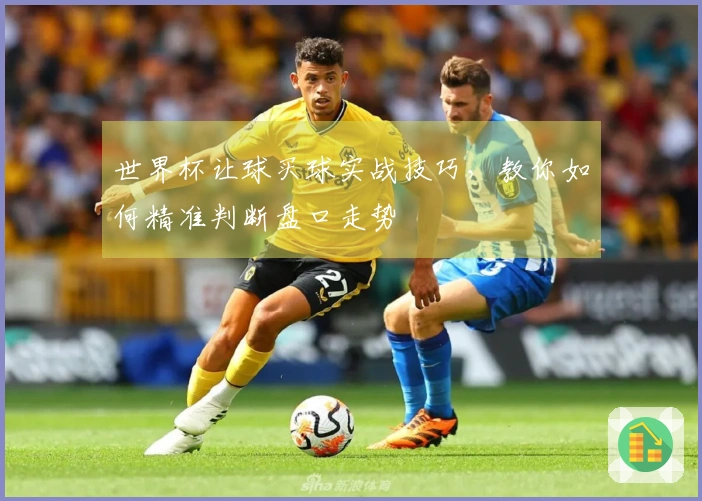 世界杯让球买球实战技巧，教你如何精准判断盘口走势