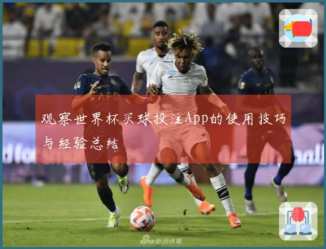 观察世界杯买球投注App的使用技巧与经验总结