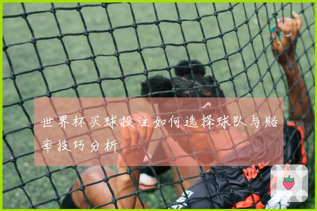 世界杯买球投注如何选择球队与赔率技巧分析
