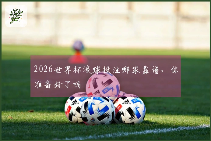 2026世界杯滚球投注哪家靠谱，你准备好了吗