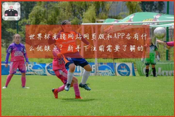 世界杯竞猜网站网页版和APP各有什么优缺点？新手下注前需要了解的事项