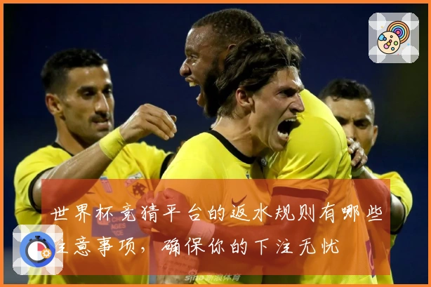 世界杯竞猜平台的返水规则有哪些注意事项，确保你的下注无忧