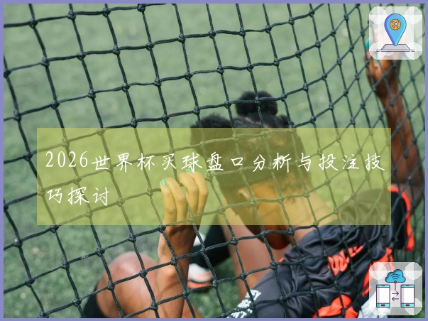 2026世界杯买球盘口分析与投注技巧探讨