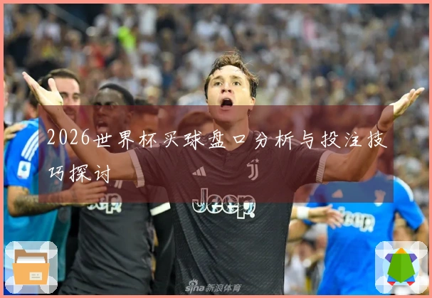 2026世界杯买球盘口分析与投注技巧探讨