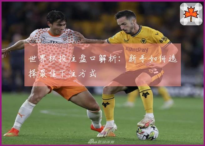 世界杯投注盘口解析：新手如何选择最佳下注方式