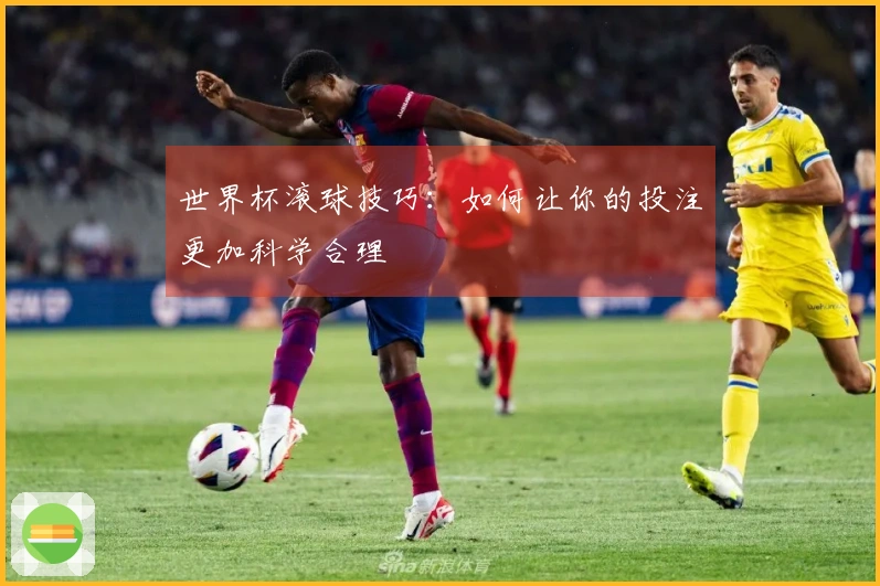 世界杯滚球技巧：如何让你的投注更加科学合理