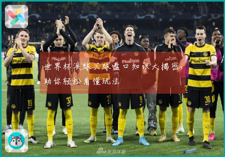 世界杯滚球买球盘口知识大揭密,助你轻松看懂玩法