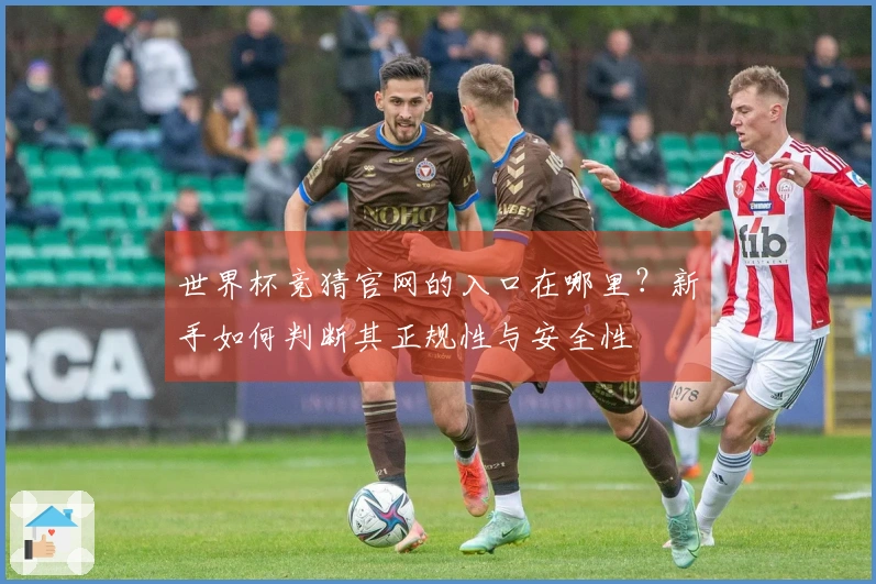 世界杯竞猜官网的入口在哪里？新手如何判断其正规性与安全性