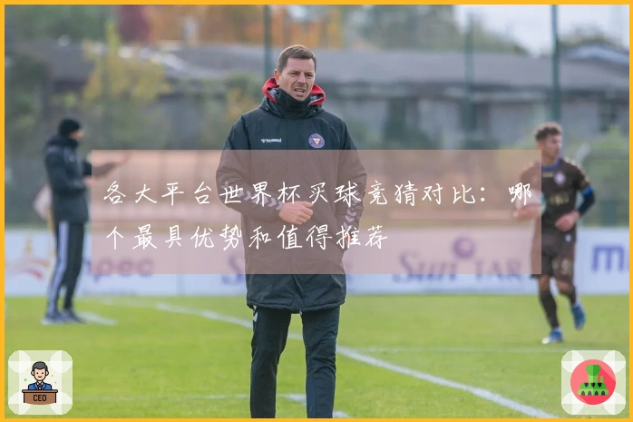 各大平台世界杯买球竞猜对比：哪个最具优势和值得推荐
