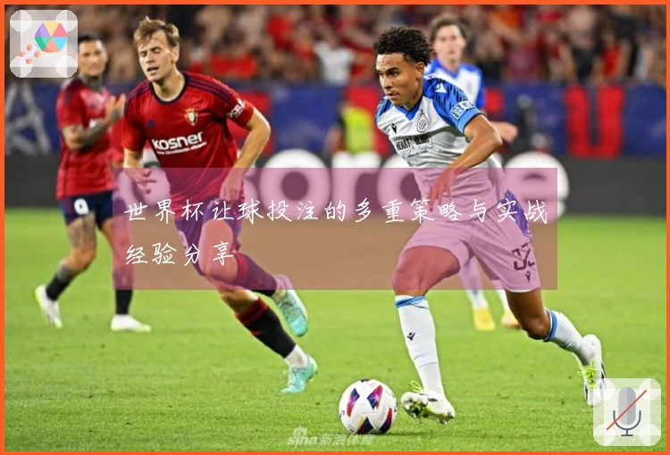 世界杯让球投注的多重策略与实战经验分享