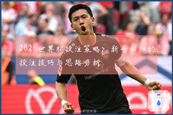 2026世界杯投注策略:新手必知的投注技巧与思路分析