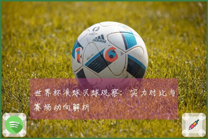 世界杯滚球买球观察：实力对比与赛场动向解析