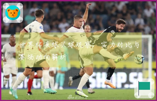 世界杯滚球买球观察：实力对比与赛场动向解析