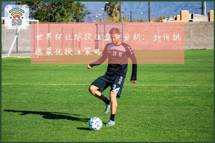 世界杯让球投注盘口分析：如何挑选最优投注策略