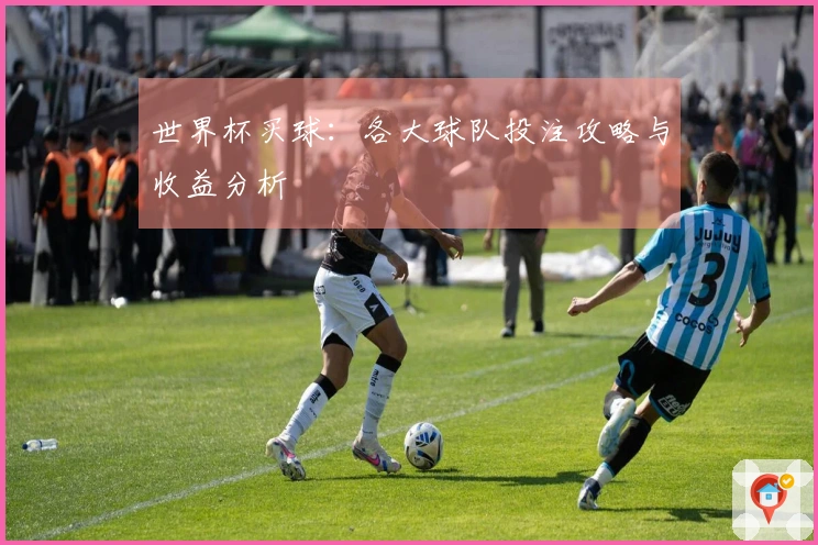 世界杯买球:各大球队投注攻略与收益分析