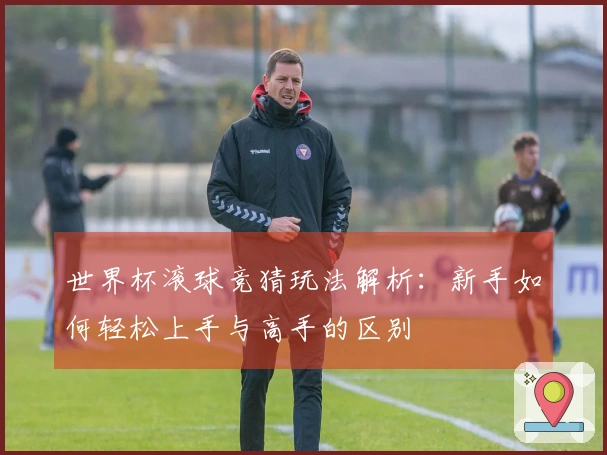 世界杯滚球竞猜玩法解析:新手如何轻松上手与高手的区别