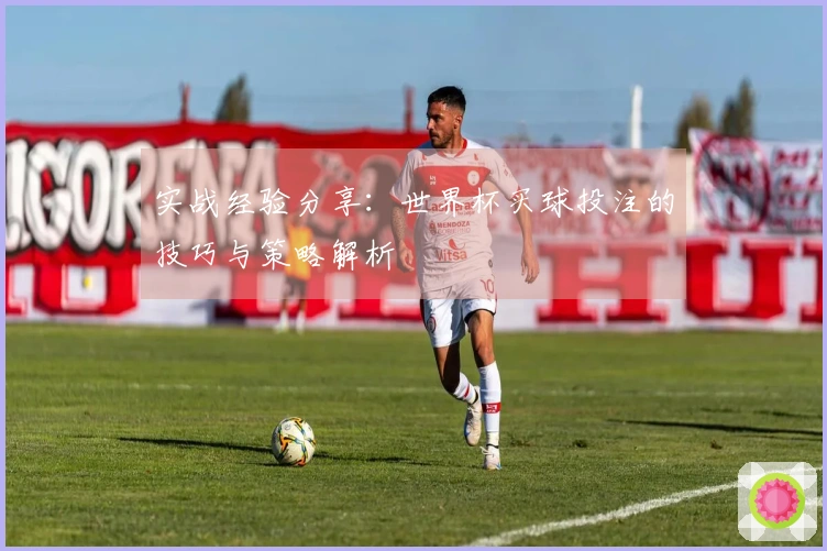 实战经验分享：世界杯买球投注的技巧与策略解析